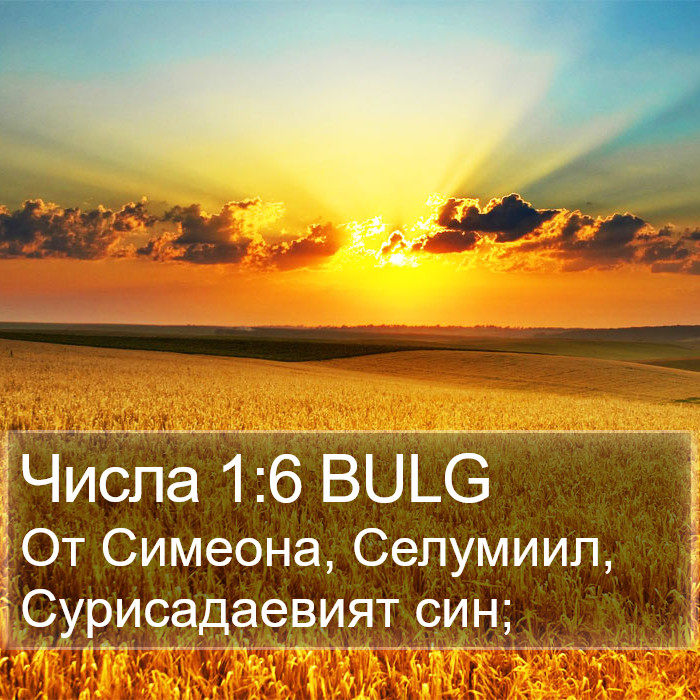 Числа 1:6 BULG Bible Study