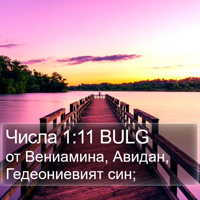 Числа 1:11 BULG Bible Study