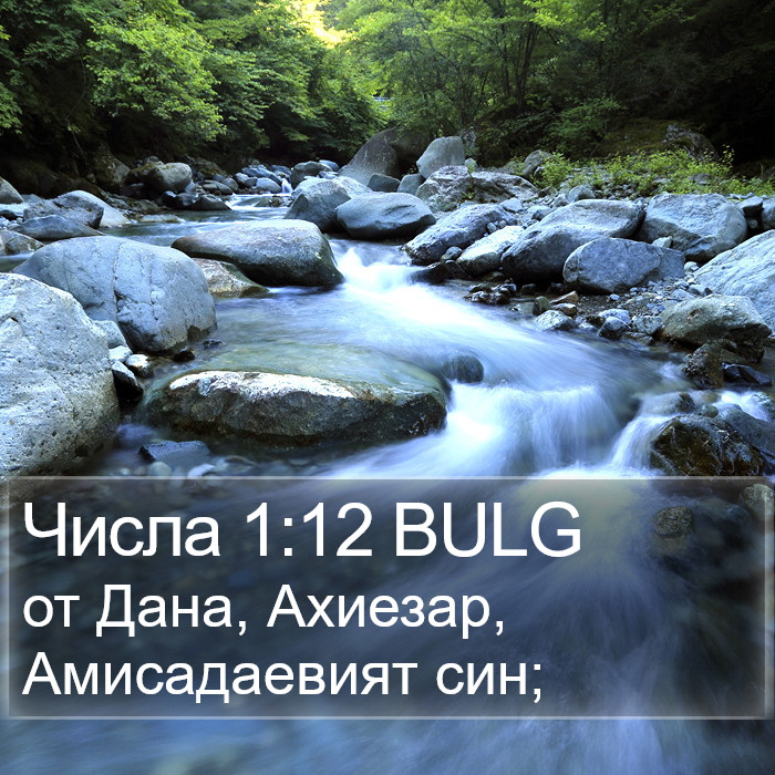 Числа 1:12 BULG Bible Study