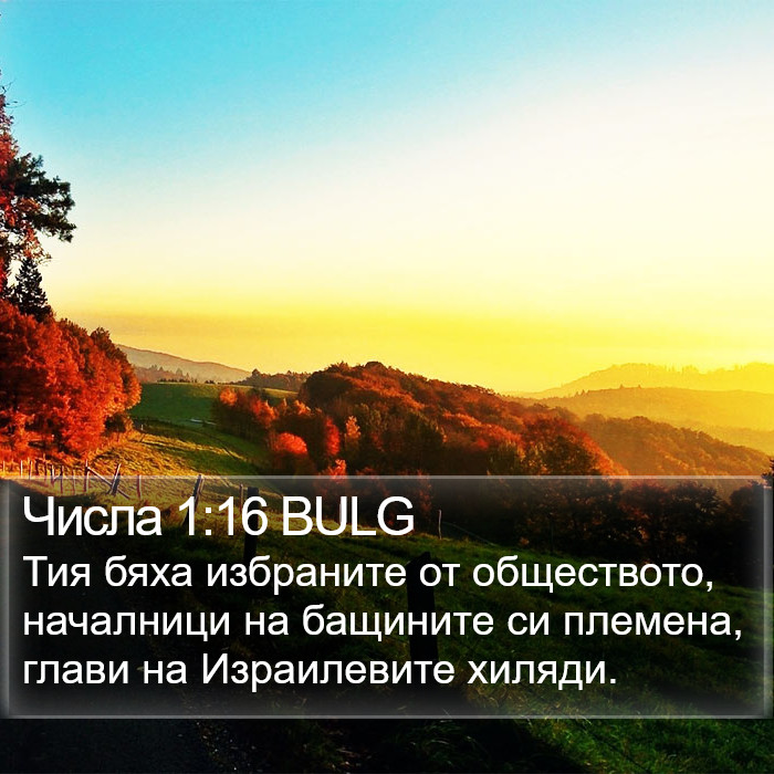 Числа 1:16 BULG Bible Study