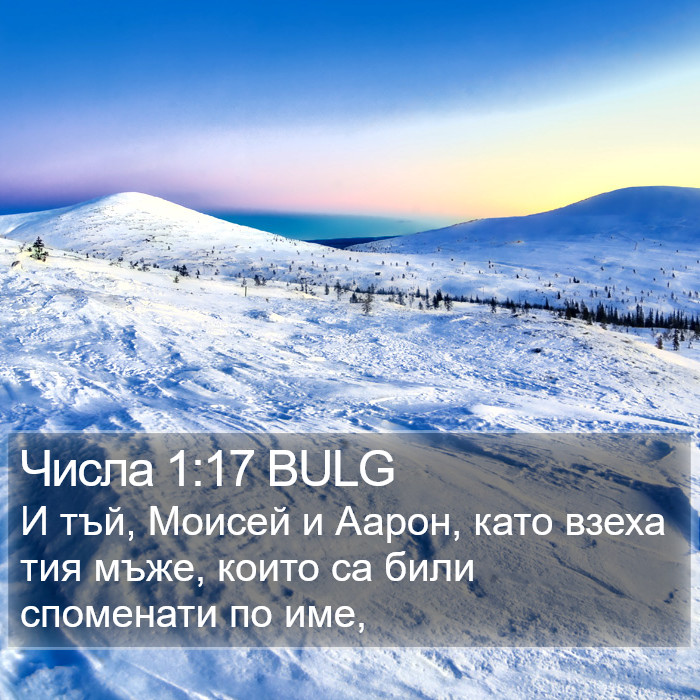 Числа 1:17 BULG Bible Study