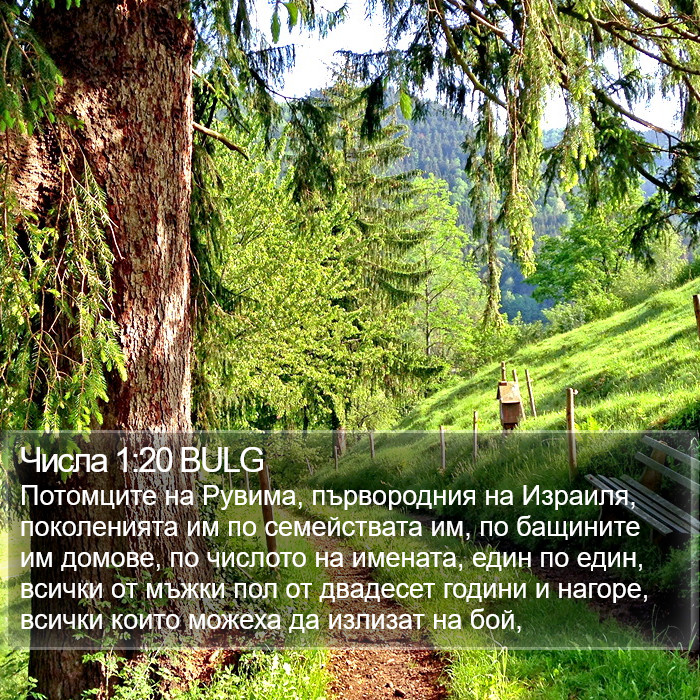 Числа 1:20 BULG Bible Study