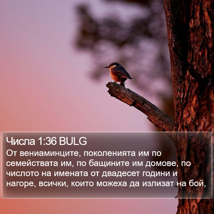 Числа 1:36 BULG Bible Study