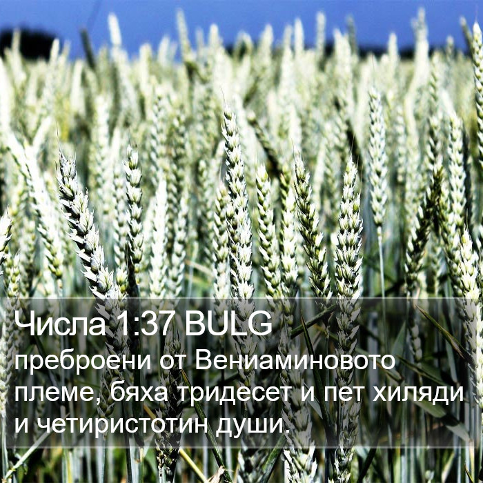 Числа 1:37 BULG Bible Study