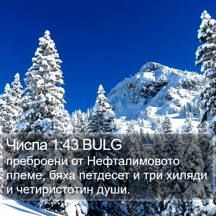 Числа 1:43 BULG Bible Study