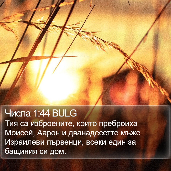 Числа 1:44 BULG Bible Study