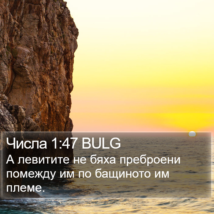 Числа 1:47 BULG Bible Study