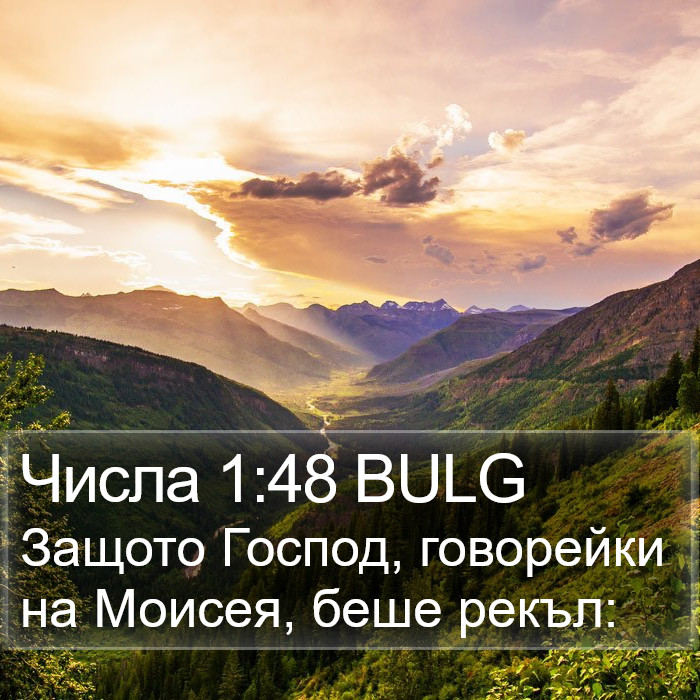 Числа 1:48 BULG Bible Study