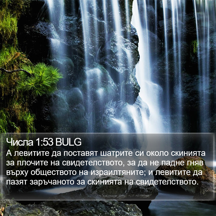 Числа 1:53 BULG Bible Study