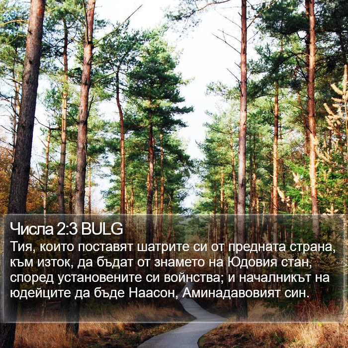 Числа 2:3 BULG Bible Study