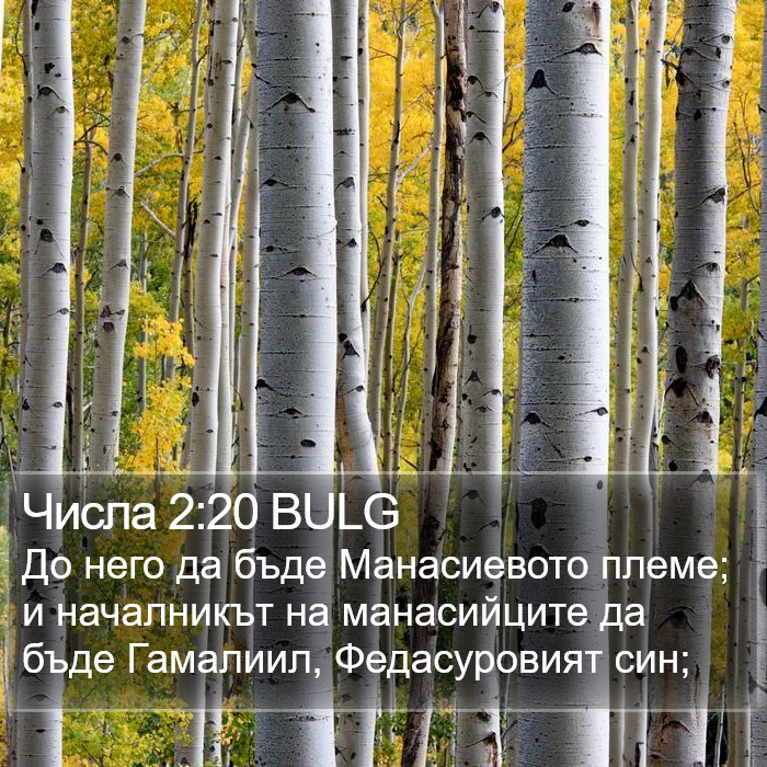 Числа 2:20 BULG Bible Study