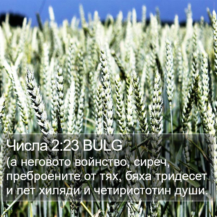 Числа 2:23 BULG Bible Study