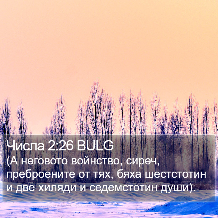 Числа 2:26 BULG Bible Study