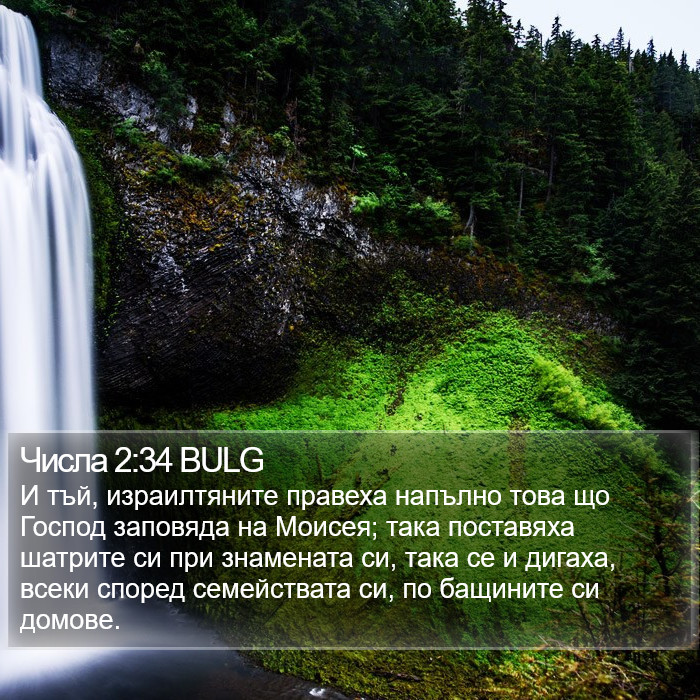 Числа 2:34 BULG Bible Study