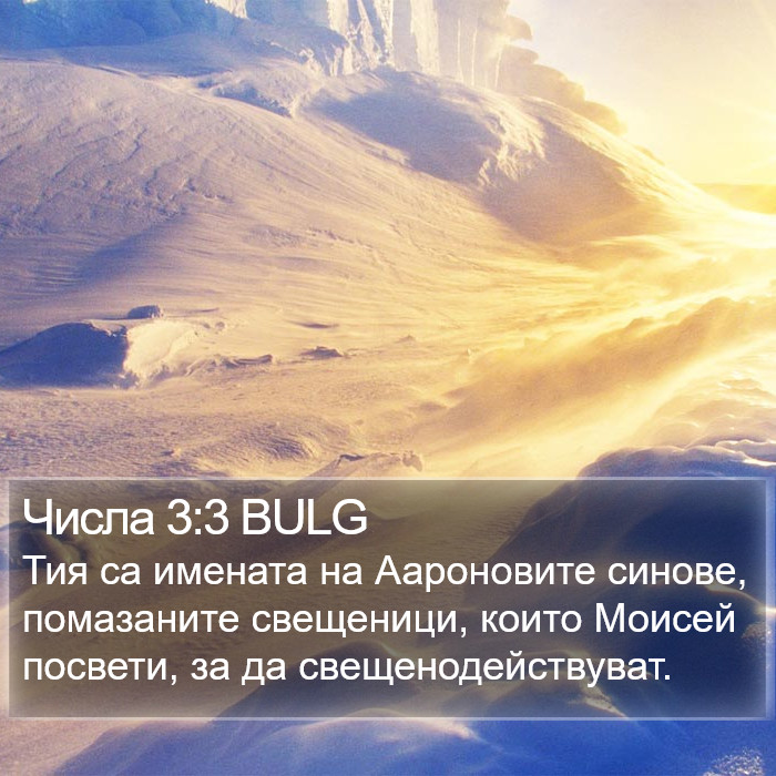 Числа 3:3 BULG Bible Study