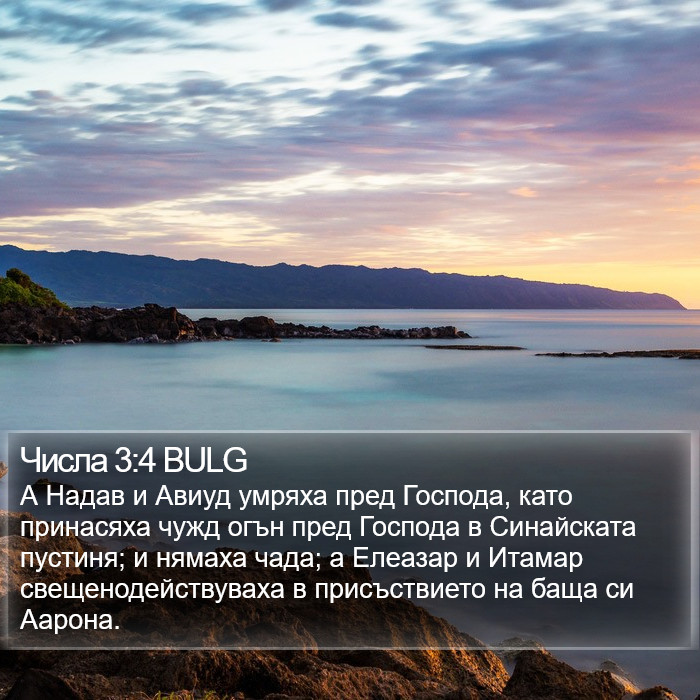 Числа 3:4 BULG Bible Study