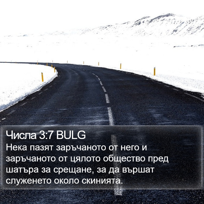 Числа 3:7 BULG Bible Study