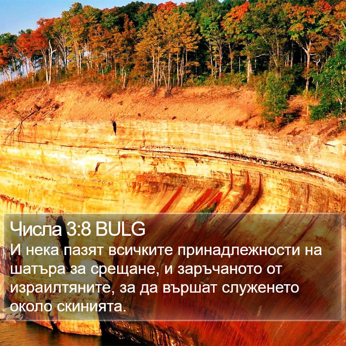 Числа 3:8 BULG Bible Study