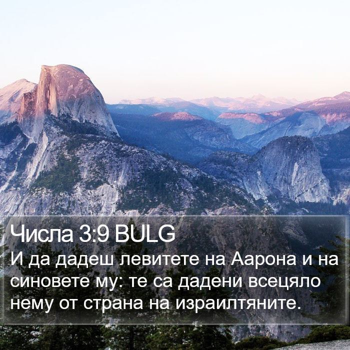 Числа 3:9 BULG Bible Study