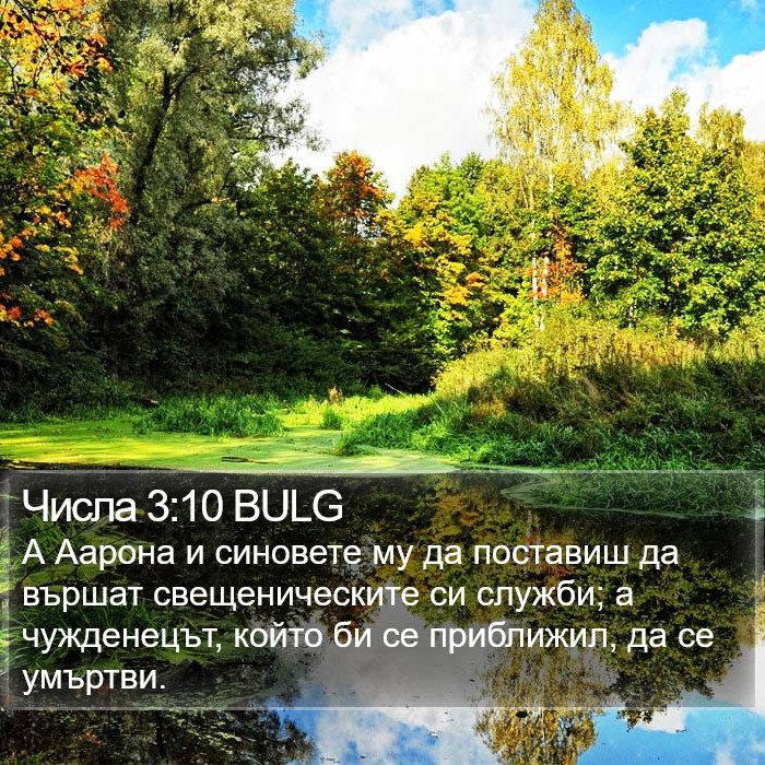 Числа 3:10 BULG Bible Study