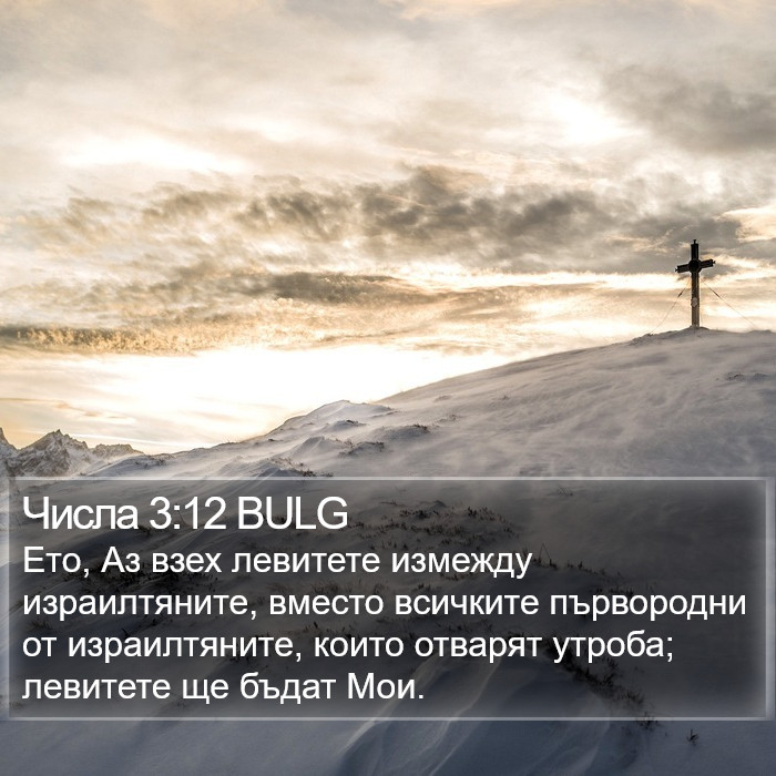 Числа 3:12 BULG Bible Study