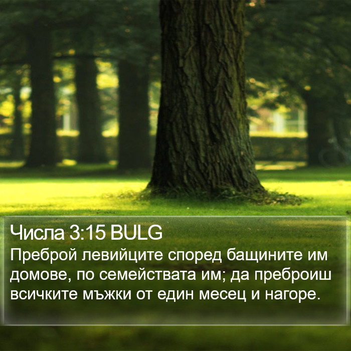 Числа 3:15 BULG Bible Study