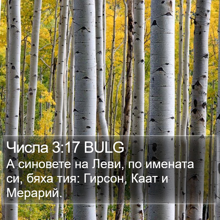 Числа 3:17 BULG Bible Study