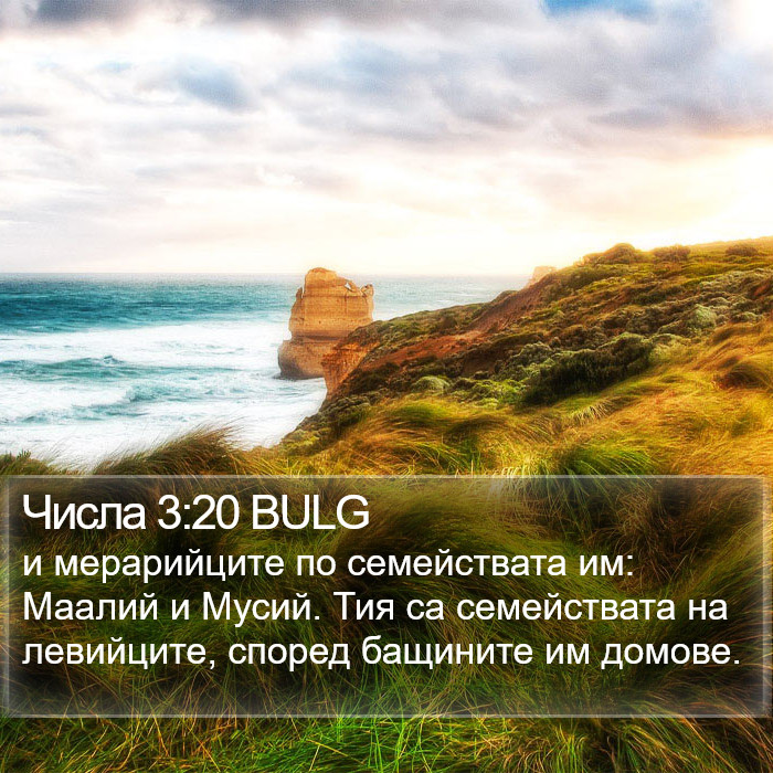 Числа 3:20 BULG Bible Study