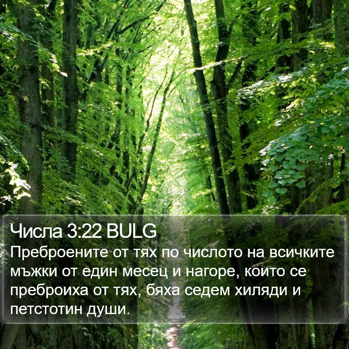 Числа 3:22 BULG Bible Study