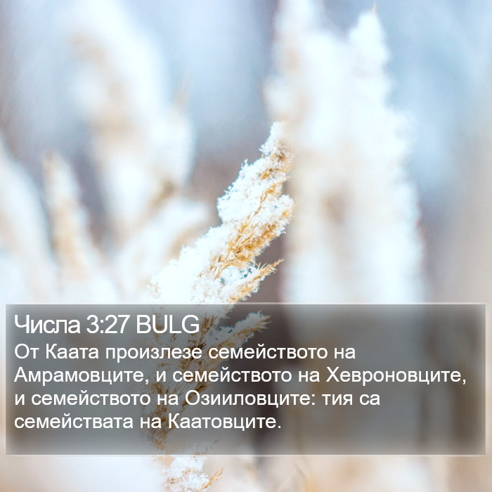 Числа 3:27 BULG Bible Study