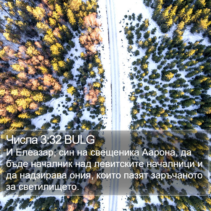 Числа 3:32 BULG Bible Study