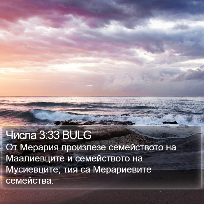 Числа 3:33 BULG Bible Study