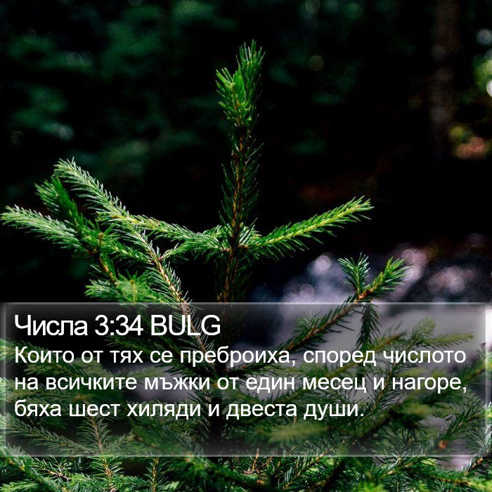 Числа 3:34 BULG Bible Study