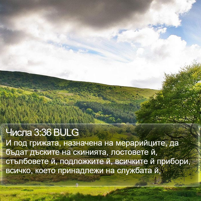 Числа 3:36 BULG Bible Study