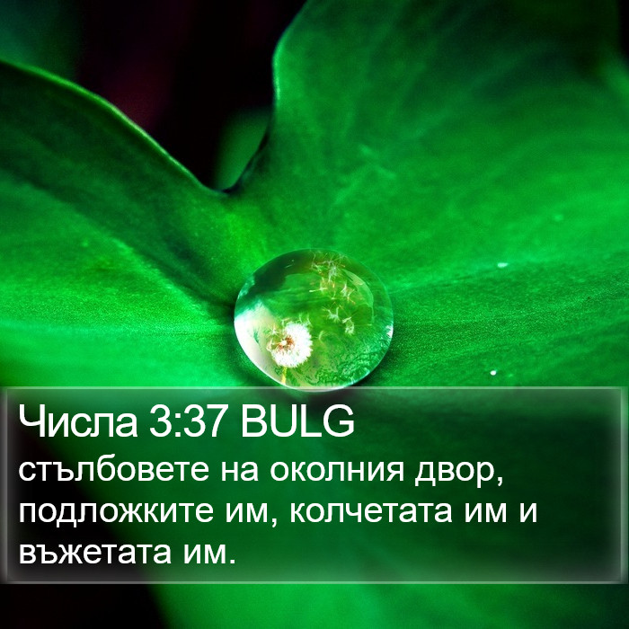 Числа 3:37 BULG Bible Study