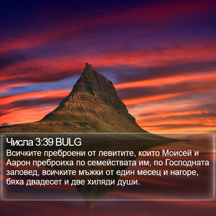 Числа 3:39 BULG Bible Study