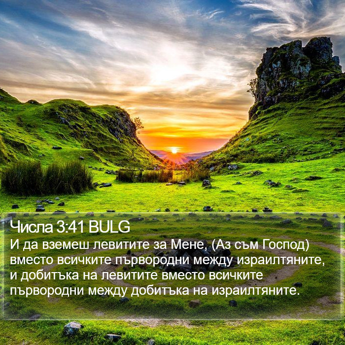 Числа 3:41 BULG Bible Study