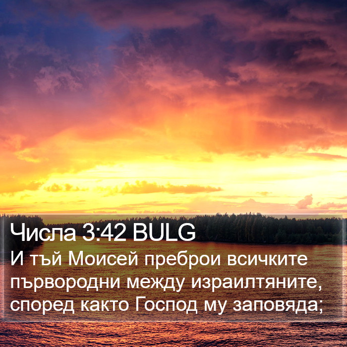 Числа 3:42 BULG Bible Study