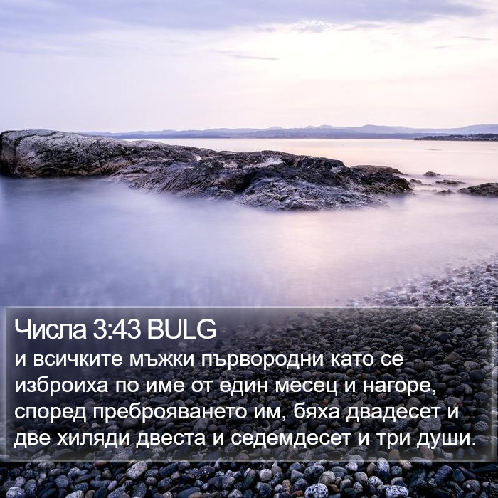 Числа 3:43 BULG Bible Study