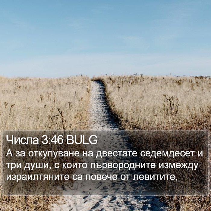 Числа 3:46 BULG Bible Study