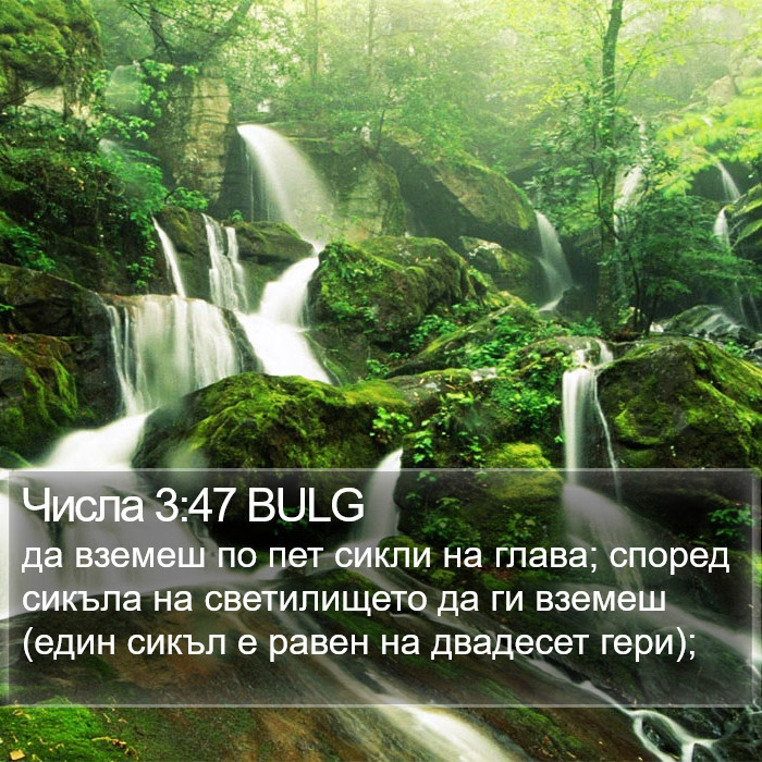 Числа 3:47 BULG Bible Study