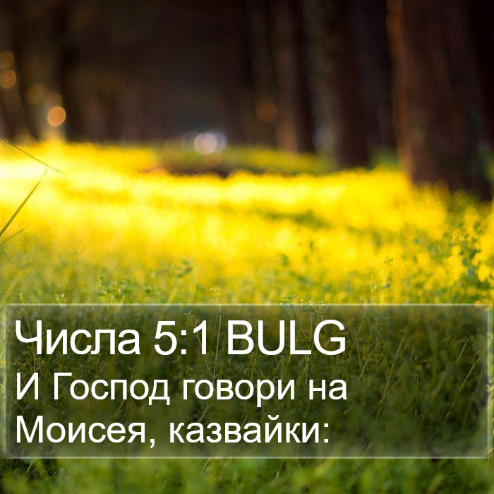 Числа 5:1 BULG Bible Study