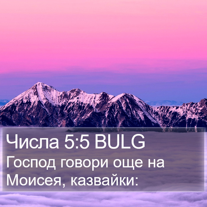 Числа 5:5 BULG Bible Study