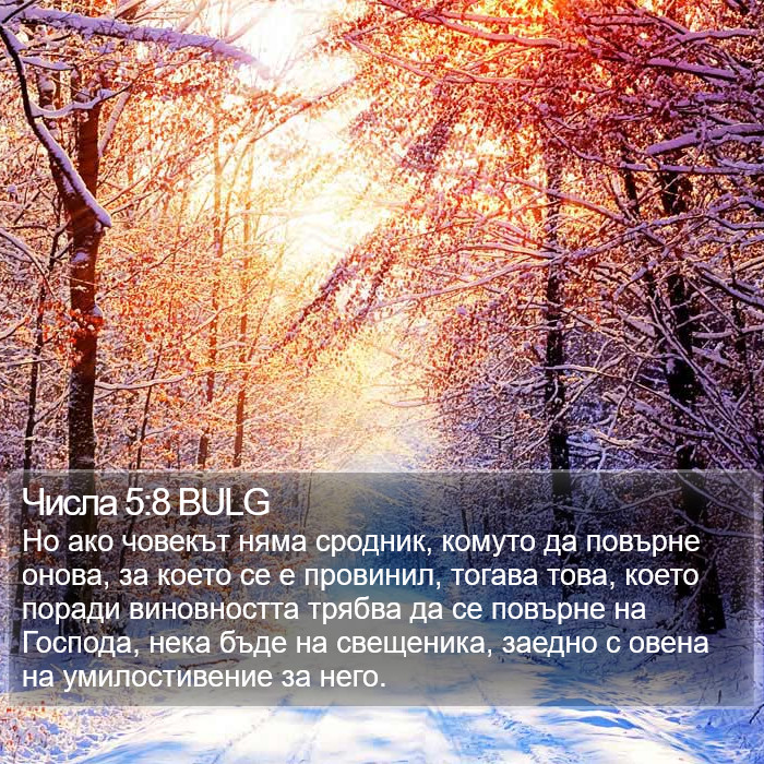 Числа 5:8 BULG Bible Study
