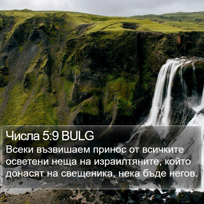 Числа 5:9 BULG Bible Study