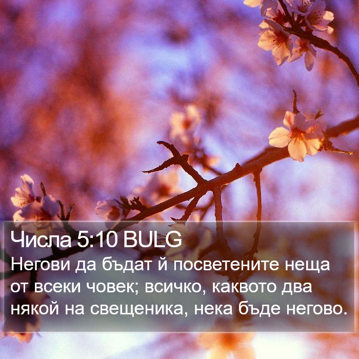Числа 5:10 BULG Bible Study