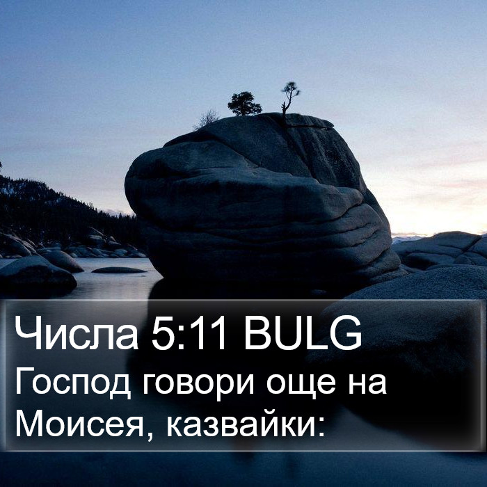 Числа 5:11 BULG Bible Study