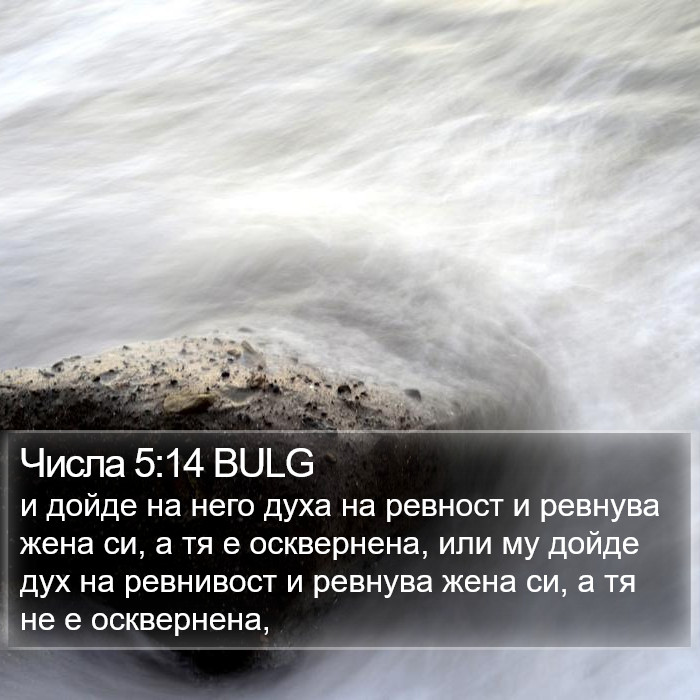 Числа 5:14 BULG Bible Study