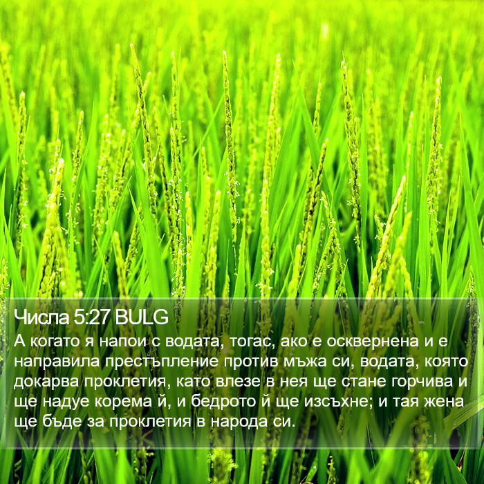 Числа 5:27 BULG Bible Study