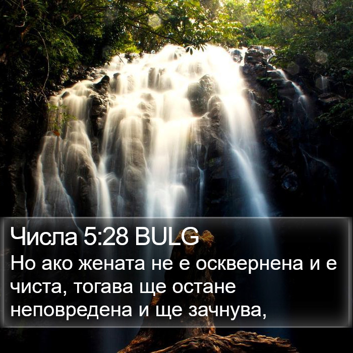 Числа 5:28 BULG Bible Study